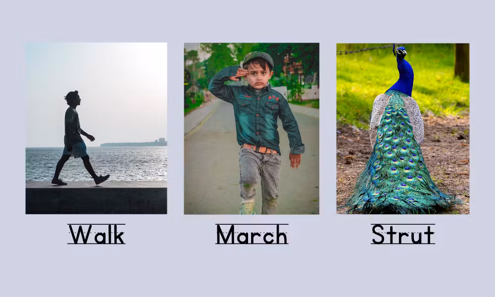 actions verbs for kids