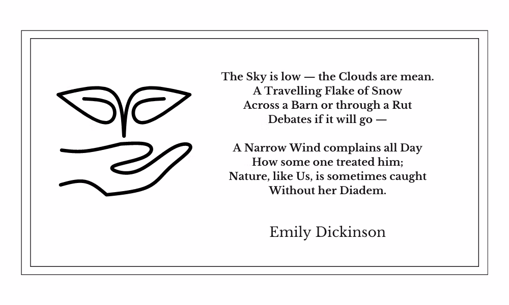 Emily Dickinson - The Sky is Low