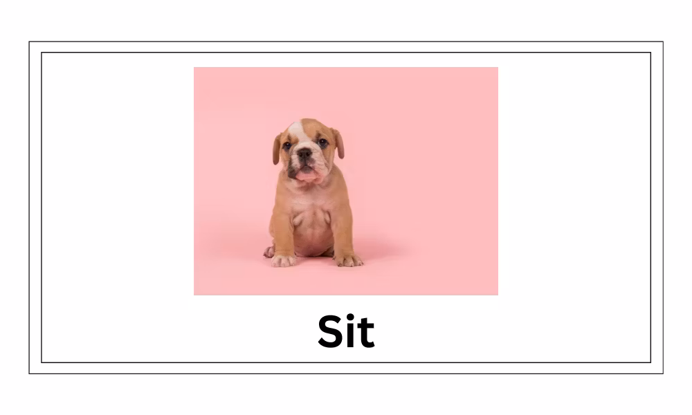 action verb flashcard K-2