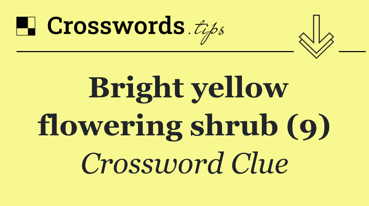 Bright yellow flowering shrub (9)