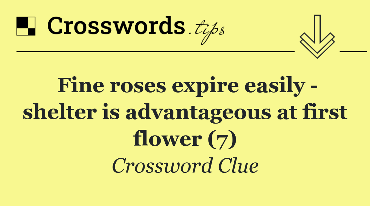 Fine roses expire easily   shelter is advantageous at first flower (7)