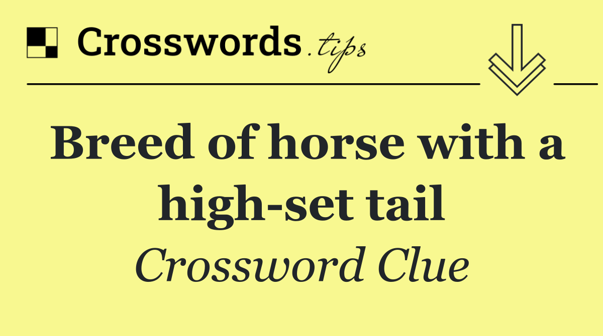 Breed of horse with a high set tail