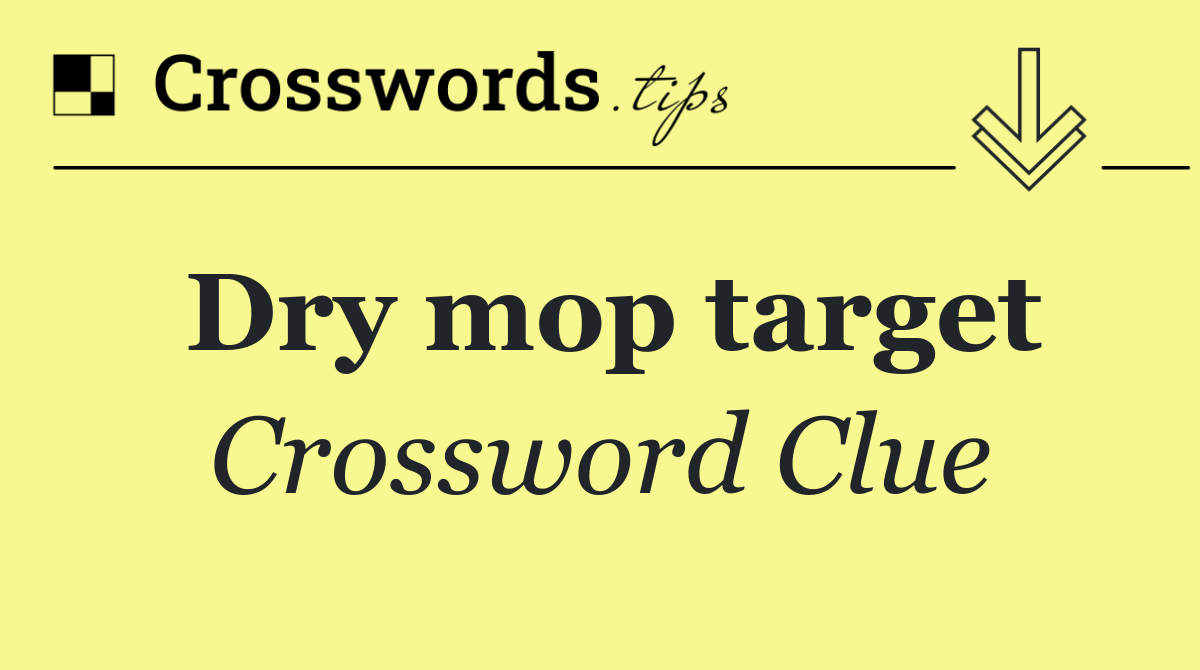 Dry mop target