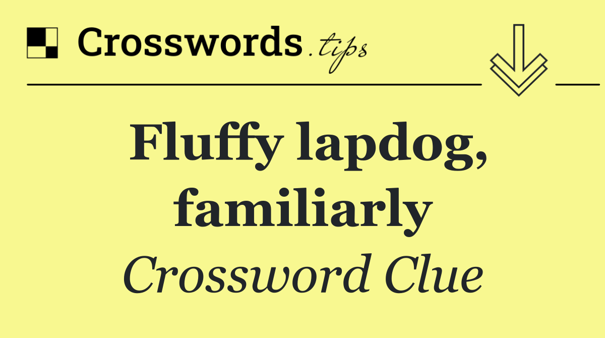 Fluffy lapdog, familiarly