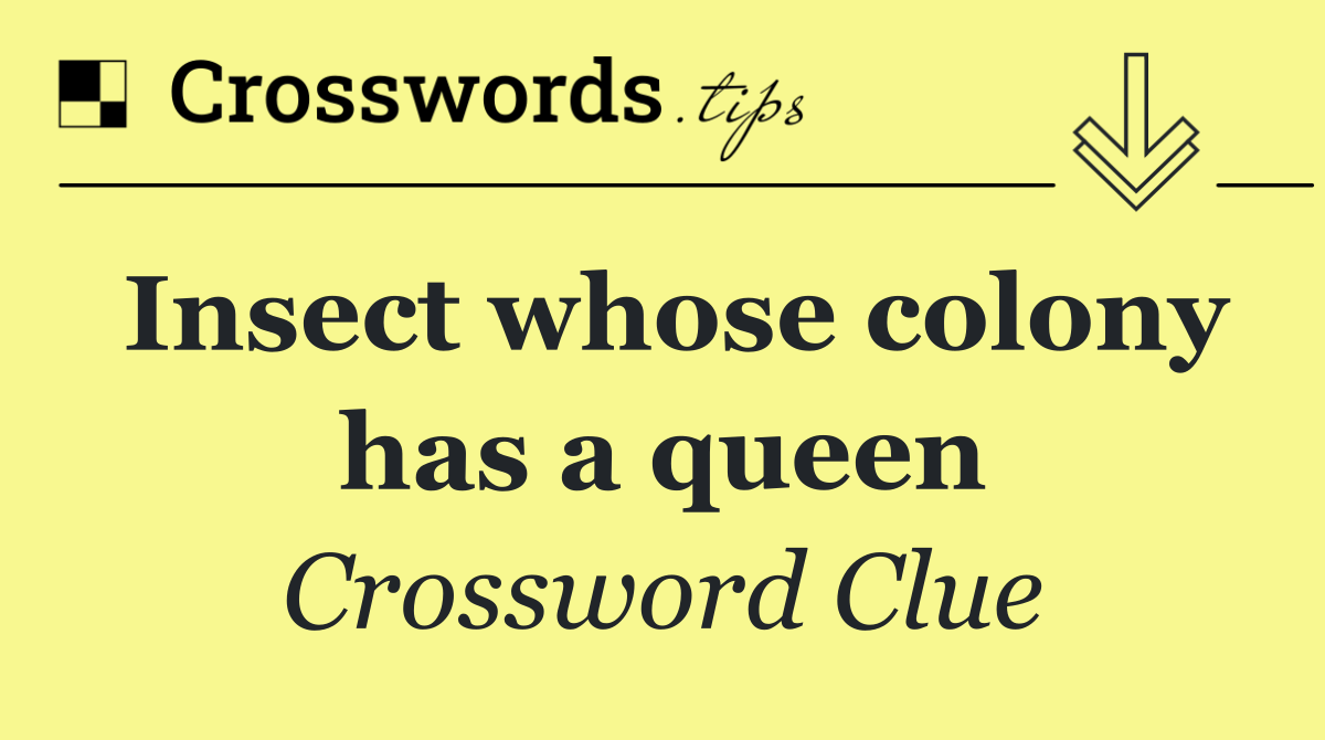 Insect whose colony has a queen