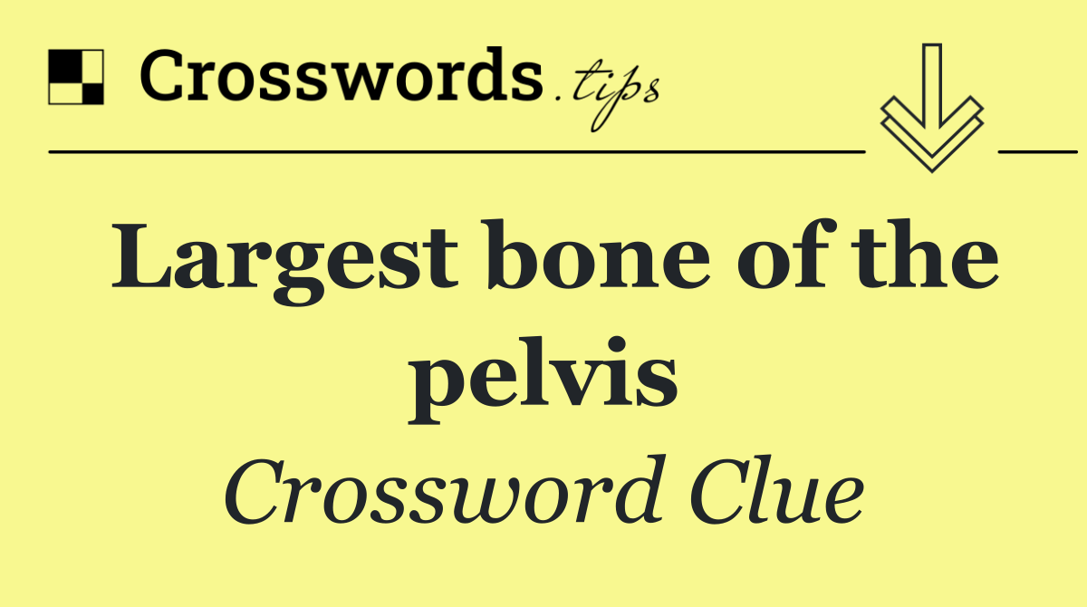 Largest bone of the pelvis