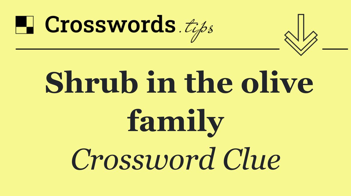Shrub in the olive family