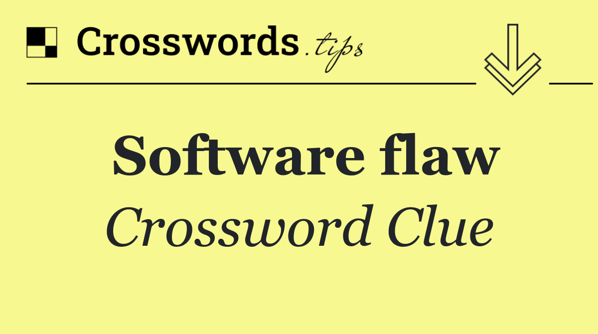 Software flaw