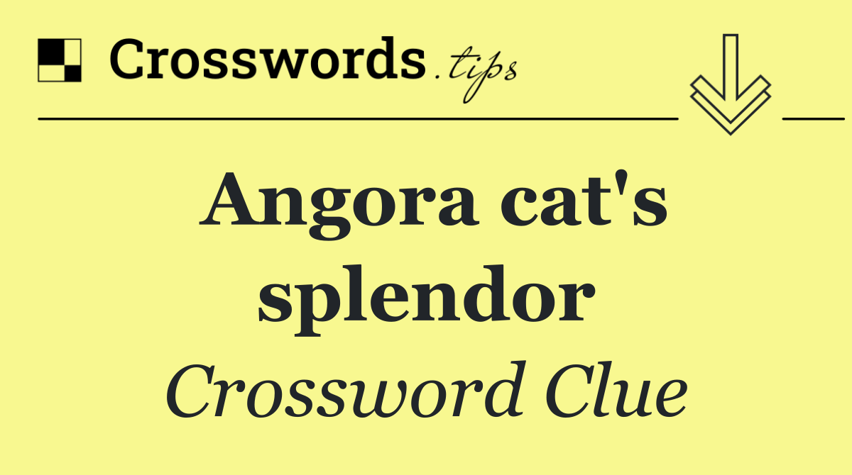 Angora cat's splendor