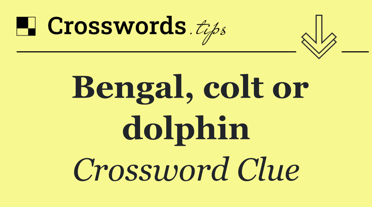 Bengal, colt or dolphin