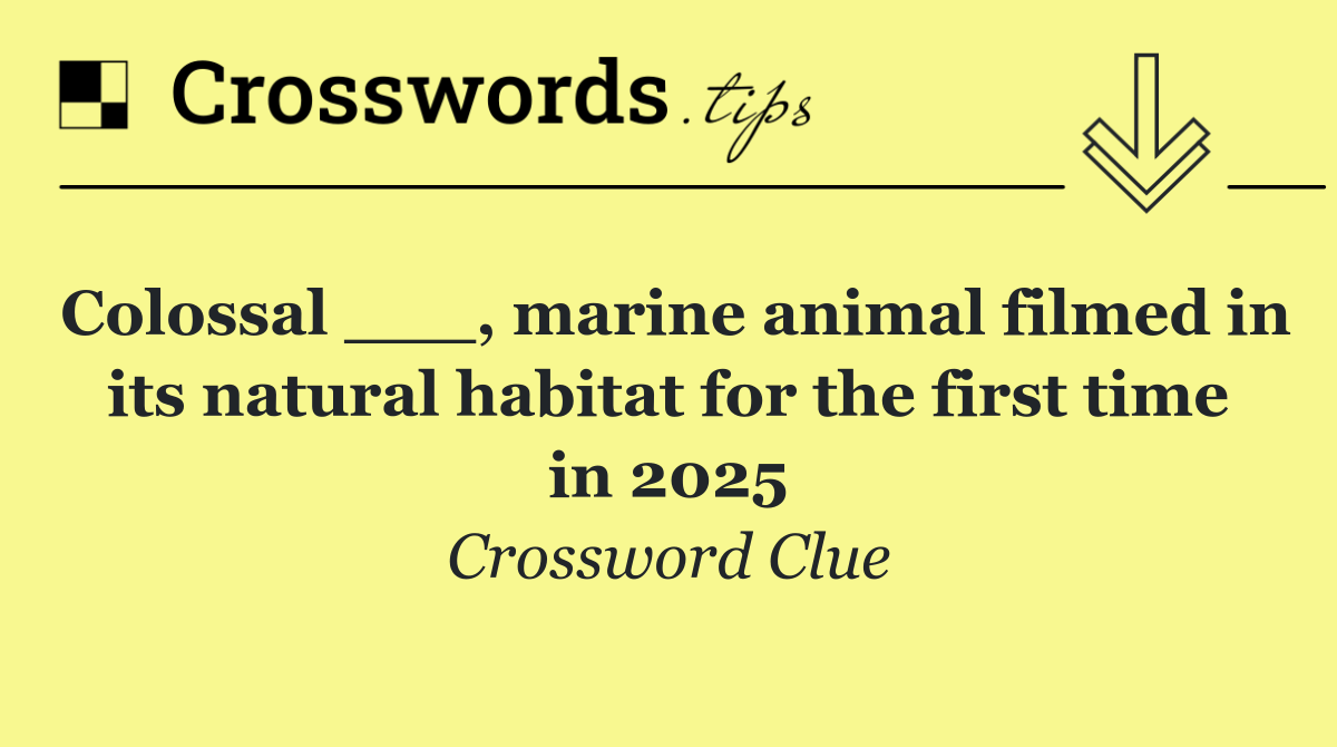 Colossal ___, marine animal filmed in its natural habitat for the first time in 2025