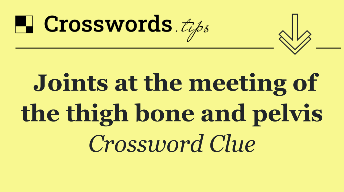 Joints at the meeting of the thigh bone and pelvis