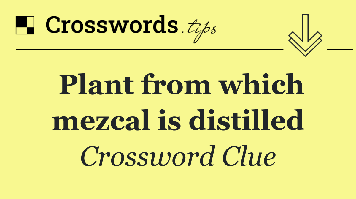 Plant from which mezcal is distilled