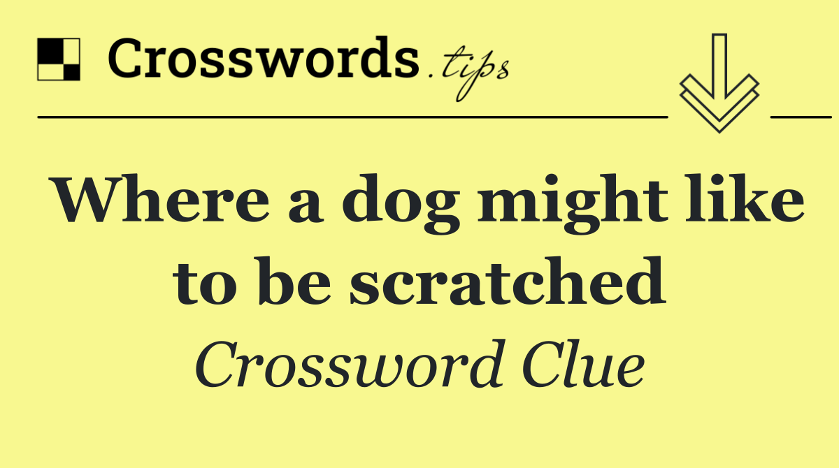 Where a dog might like to be scratched