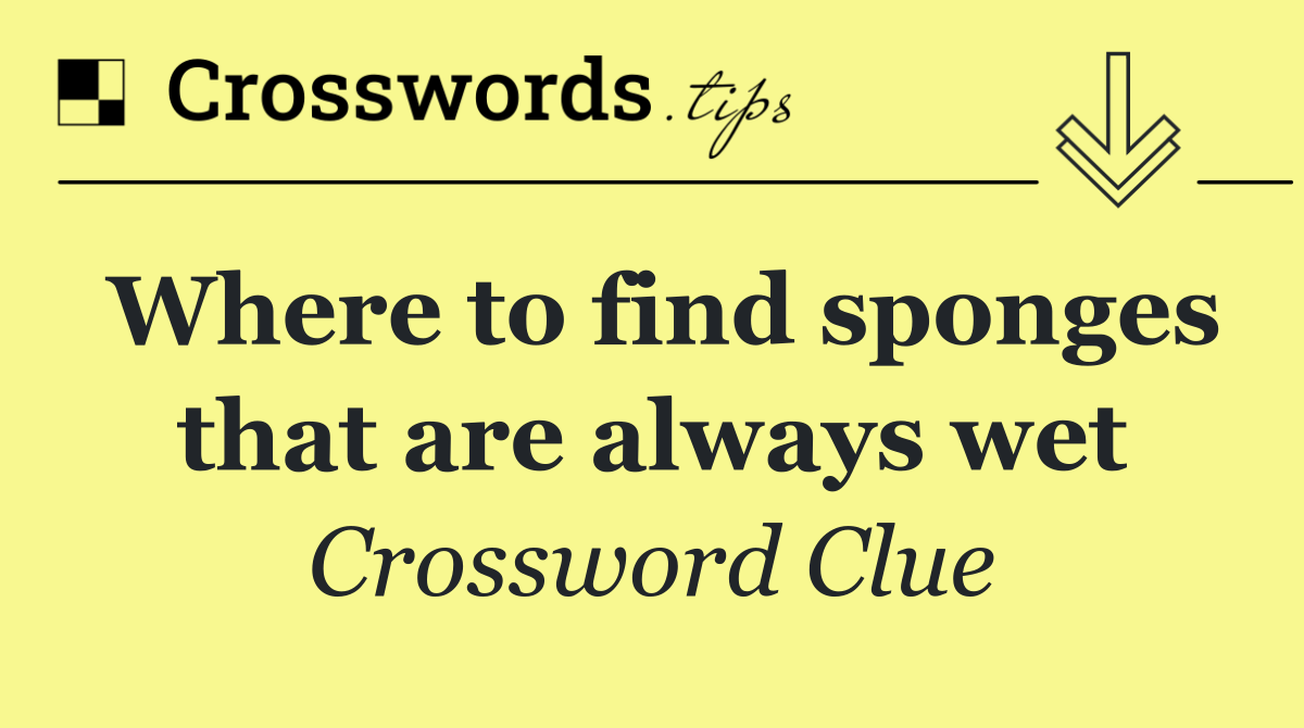 Where to find sponges that are always wet