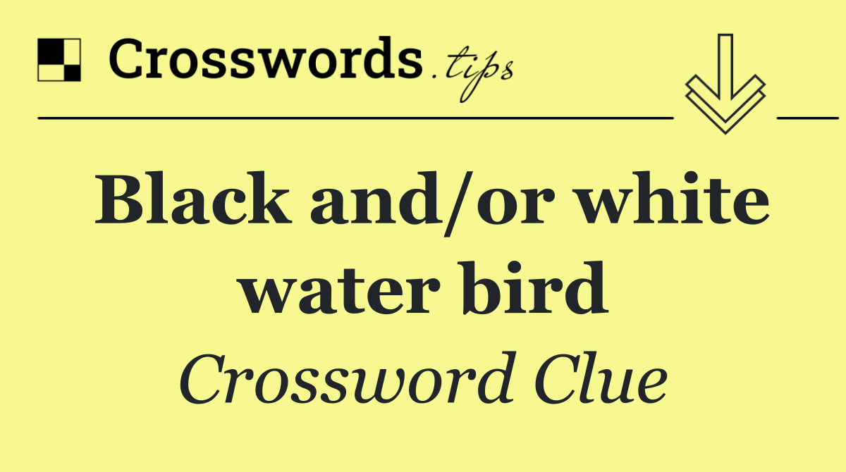 Black and/or white water bird