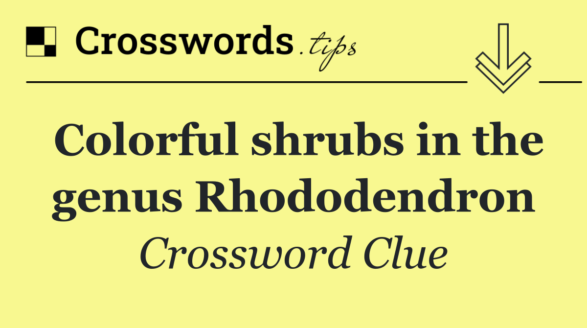 Colorful shrubs in the genus Rhododendron