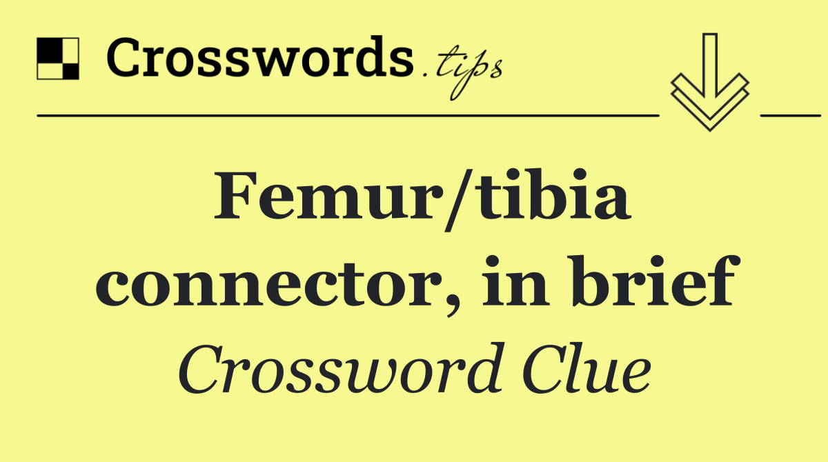 Femur/tibia connector, in brief