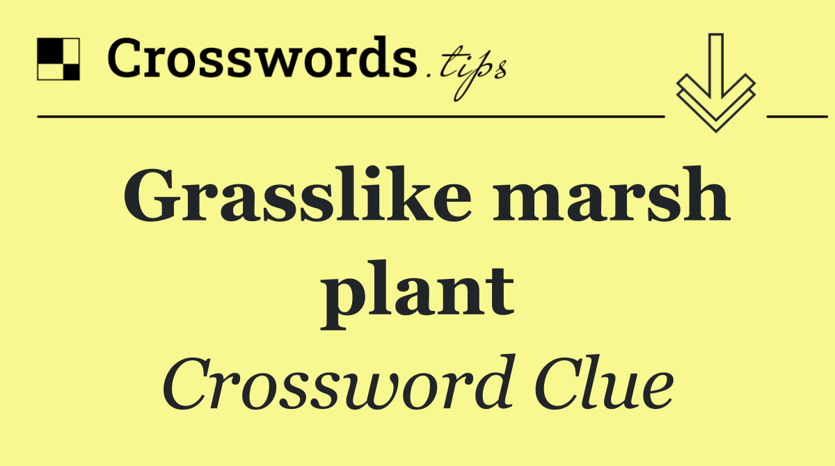 Grasslike marsh plant