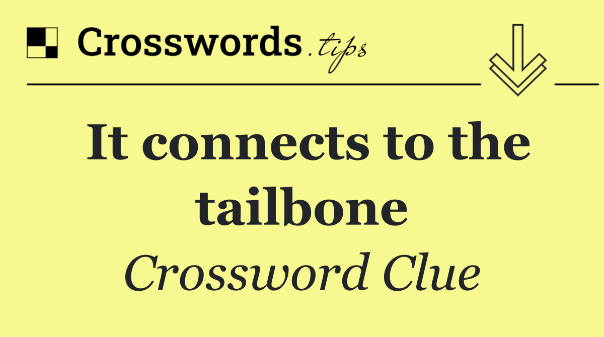 It connects to the tailbone