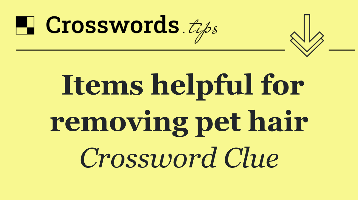 Items helpful for removing pet hair