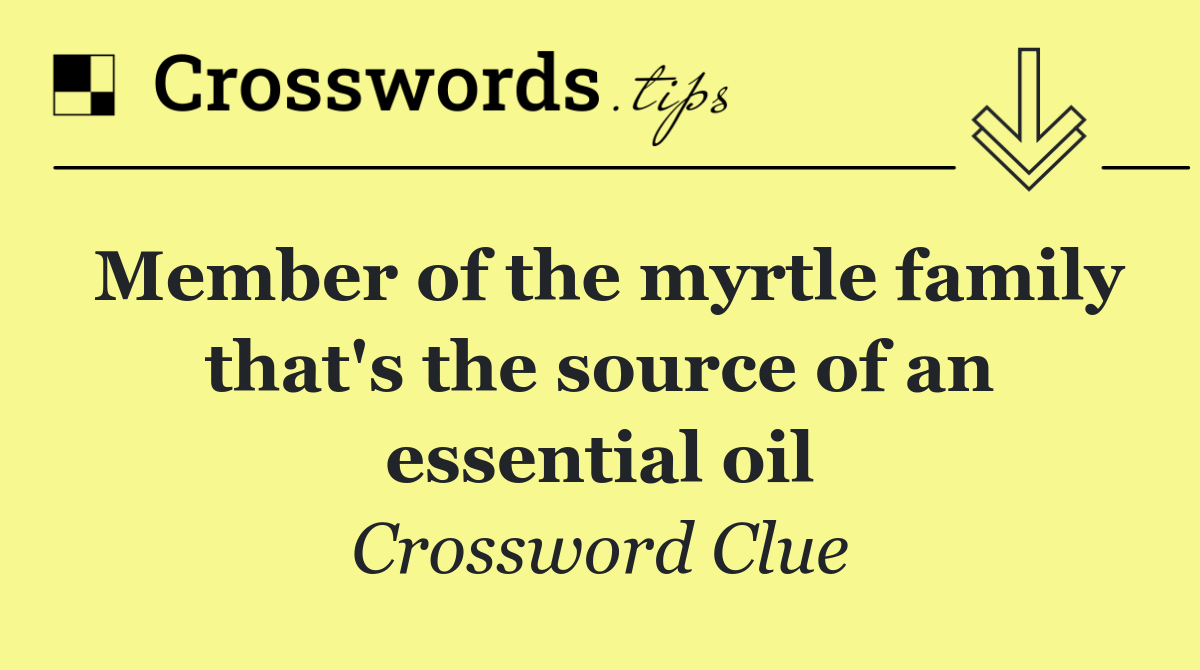 Member of the myrtle family that's the source of an essential oil