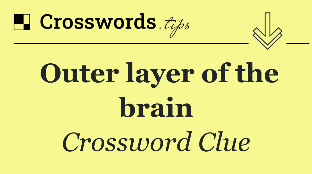 Outer layer of the brain