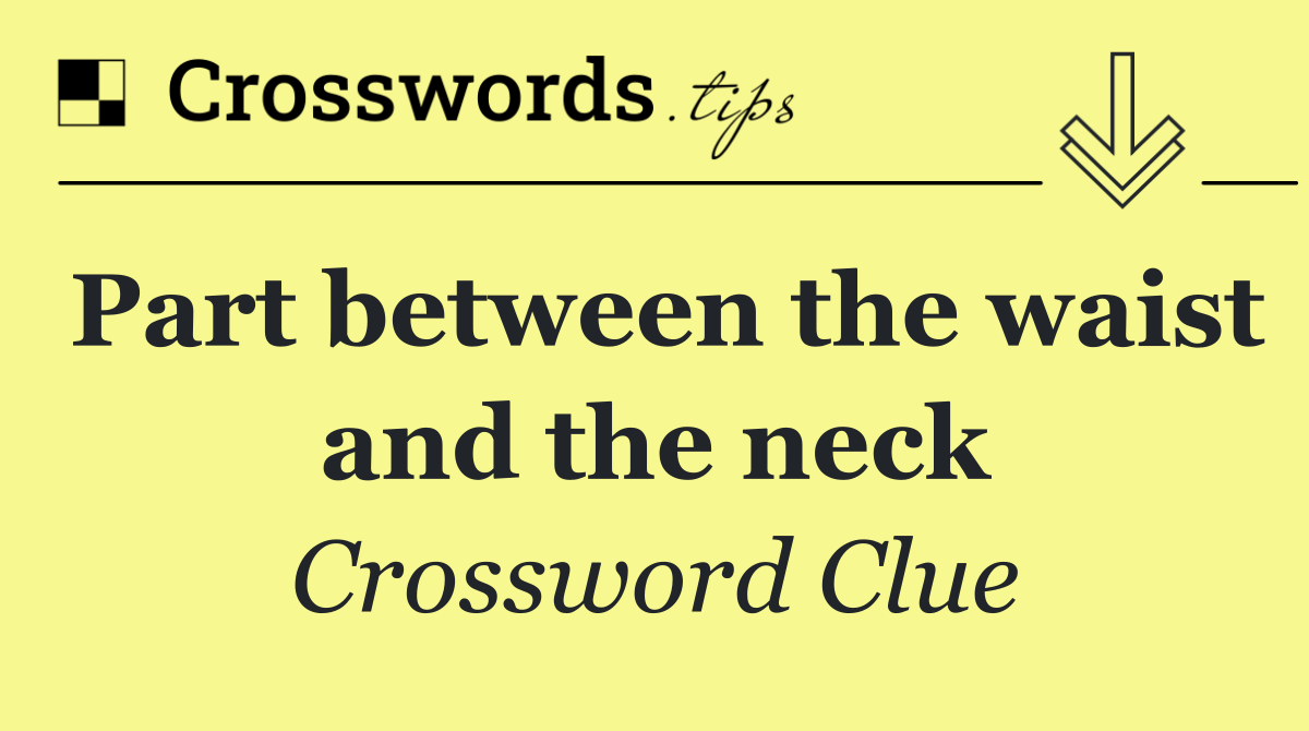 Part between the waist and the neck
