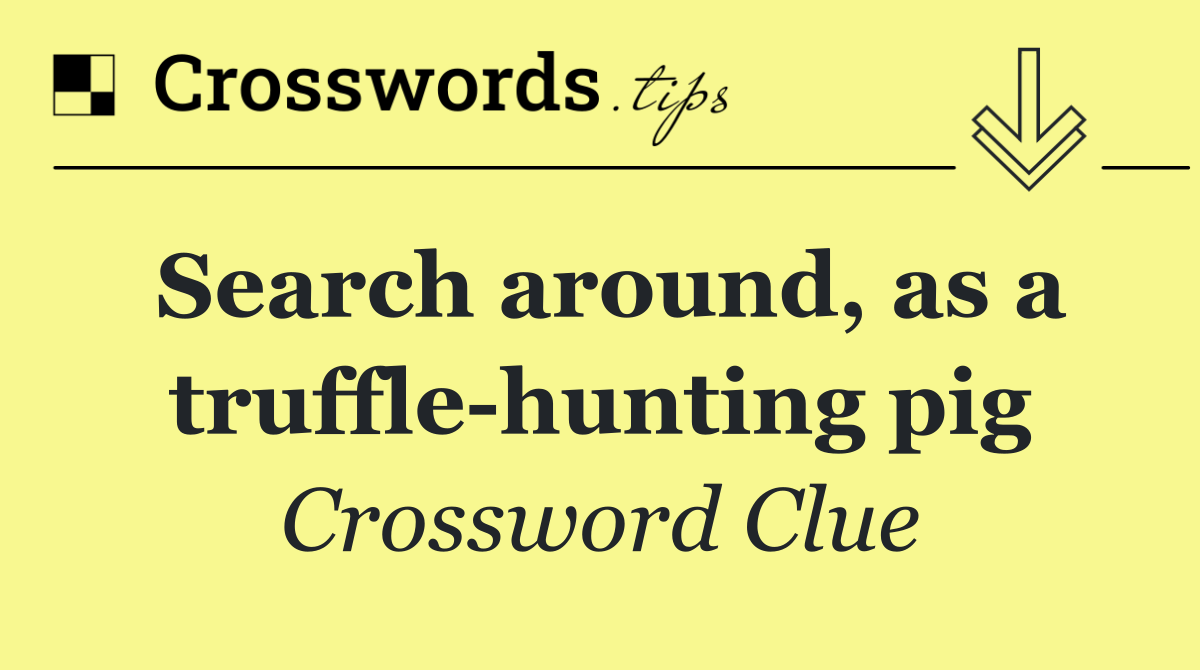 Search around, as a truffle hunting pig