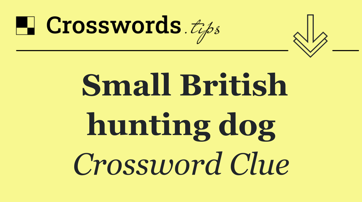 Small British hunting dog
