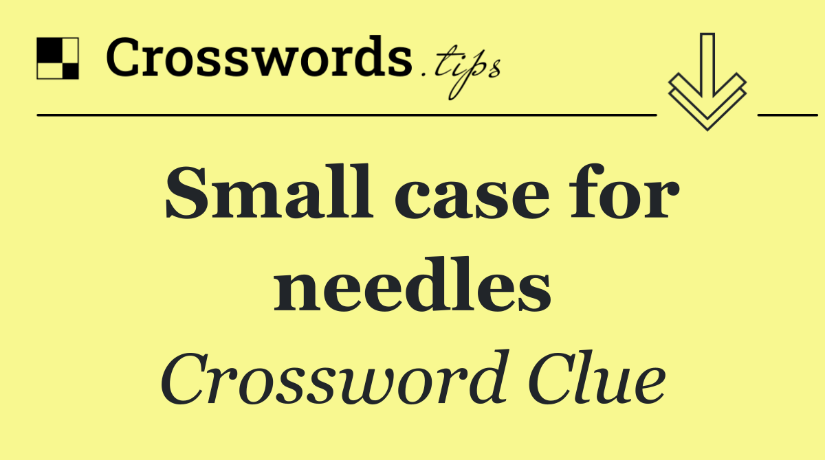Small case for needles