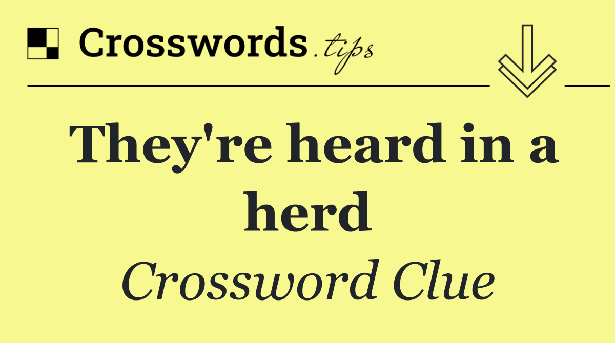 They're heard in a herd