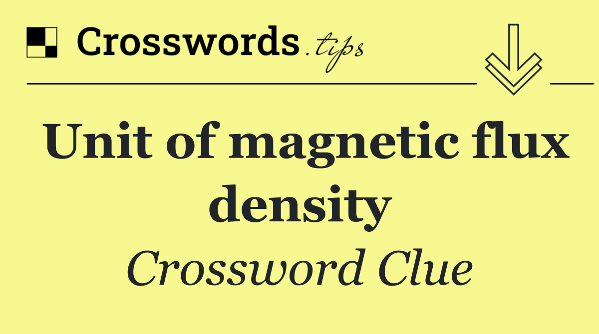 Unit of magnetic flux density