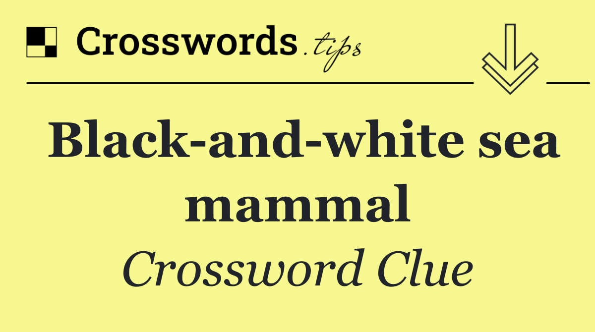 Black and white sea mammal