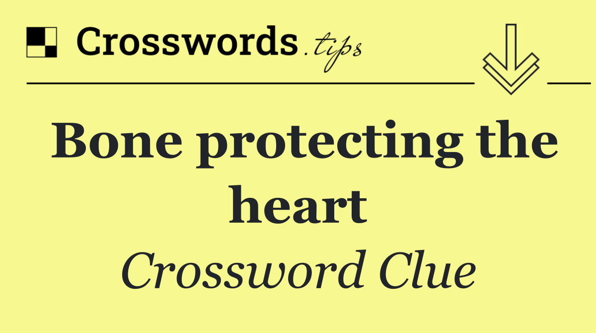 Bone protecting the heart