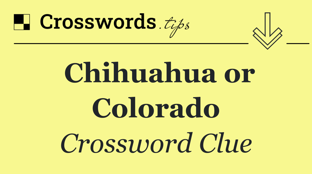 Chihuahua or Colorado