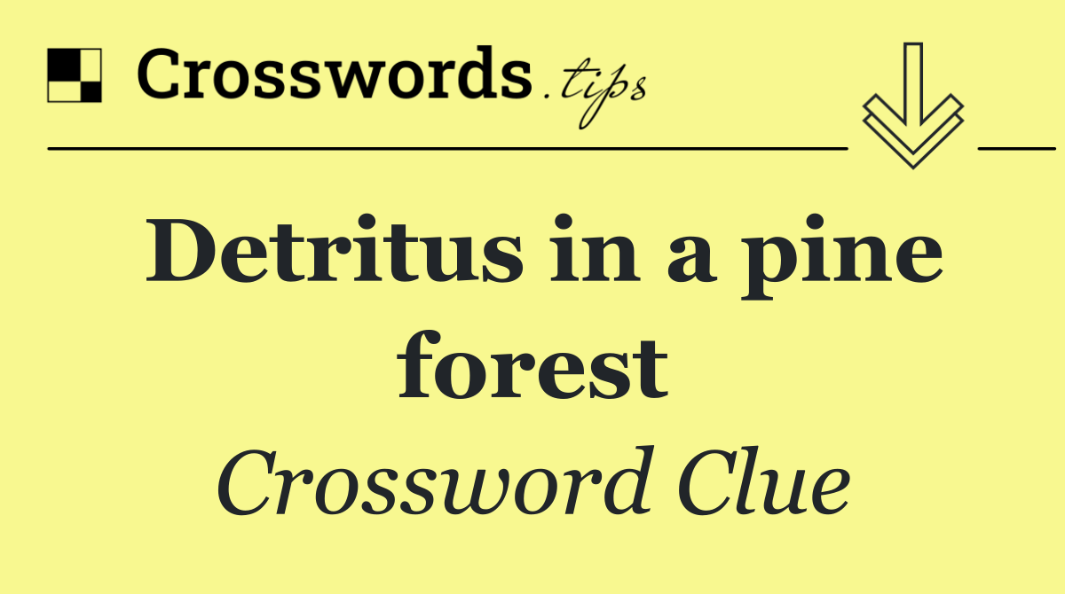 Detritus in a pine forest