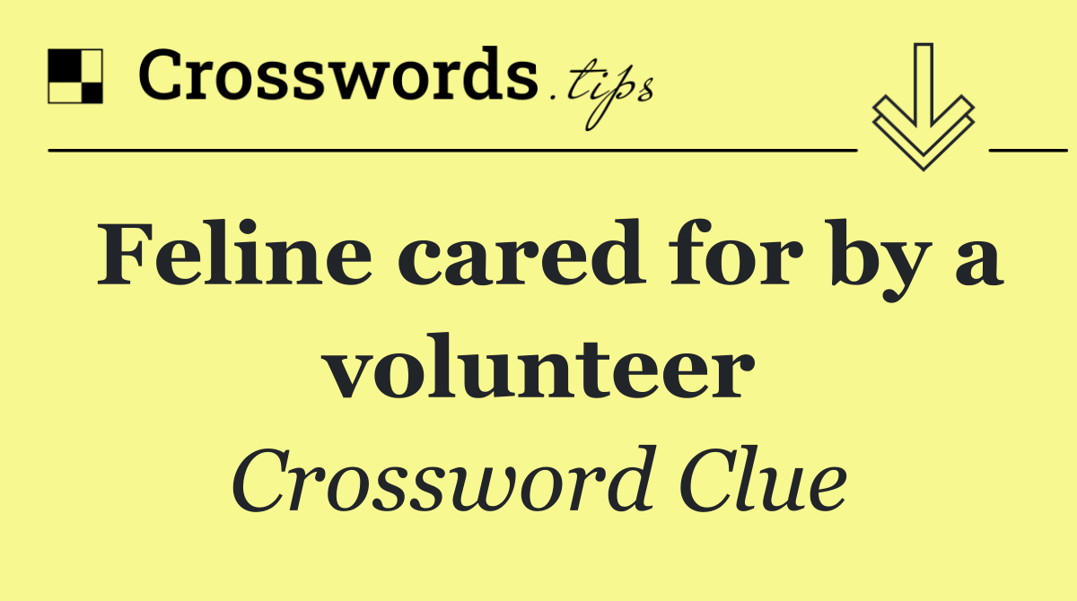 Feline cared for by a volunteer