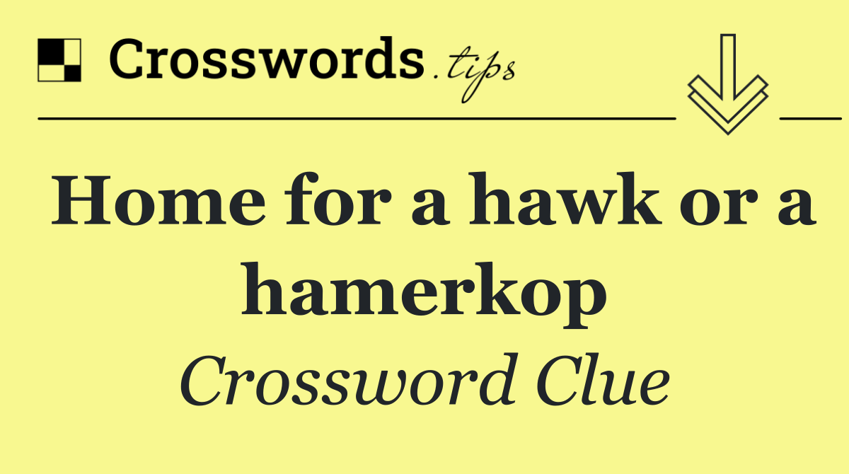 Home for a hawk or a hamerkop