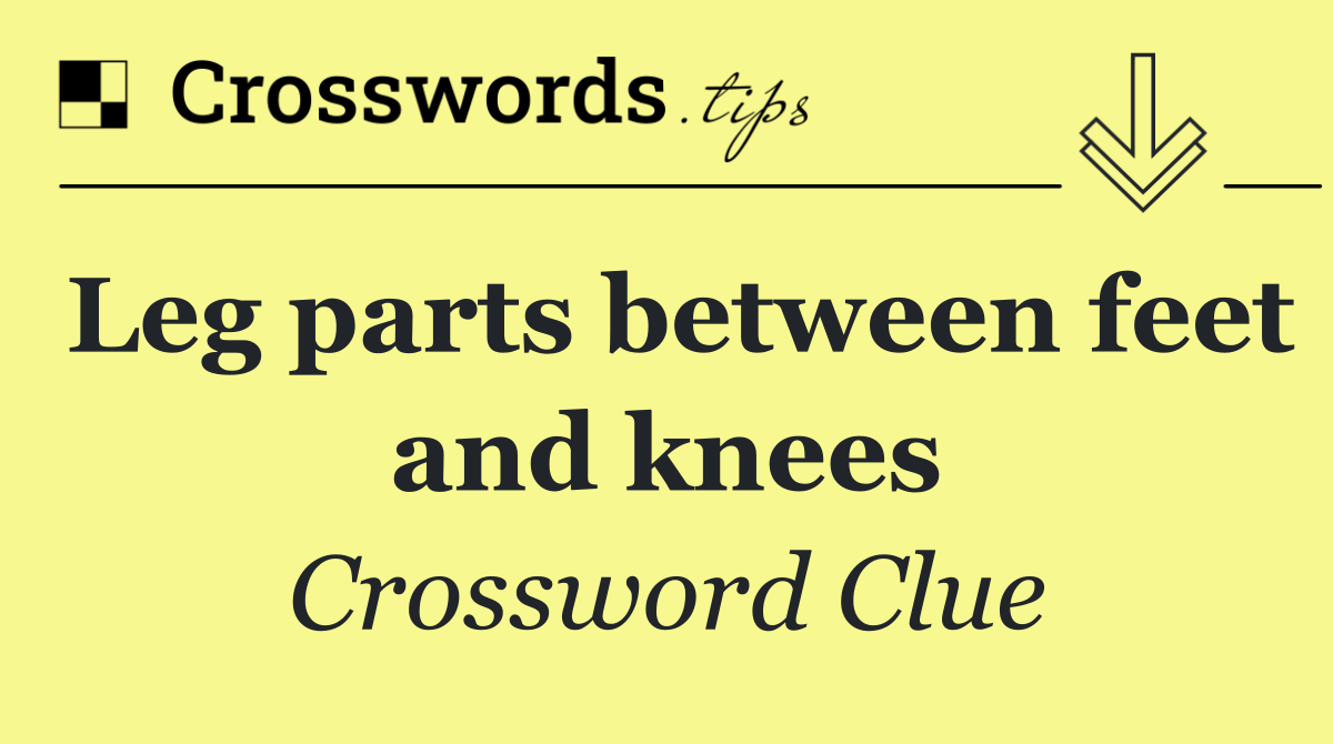 Leg parts between feet and knees