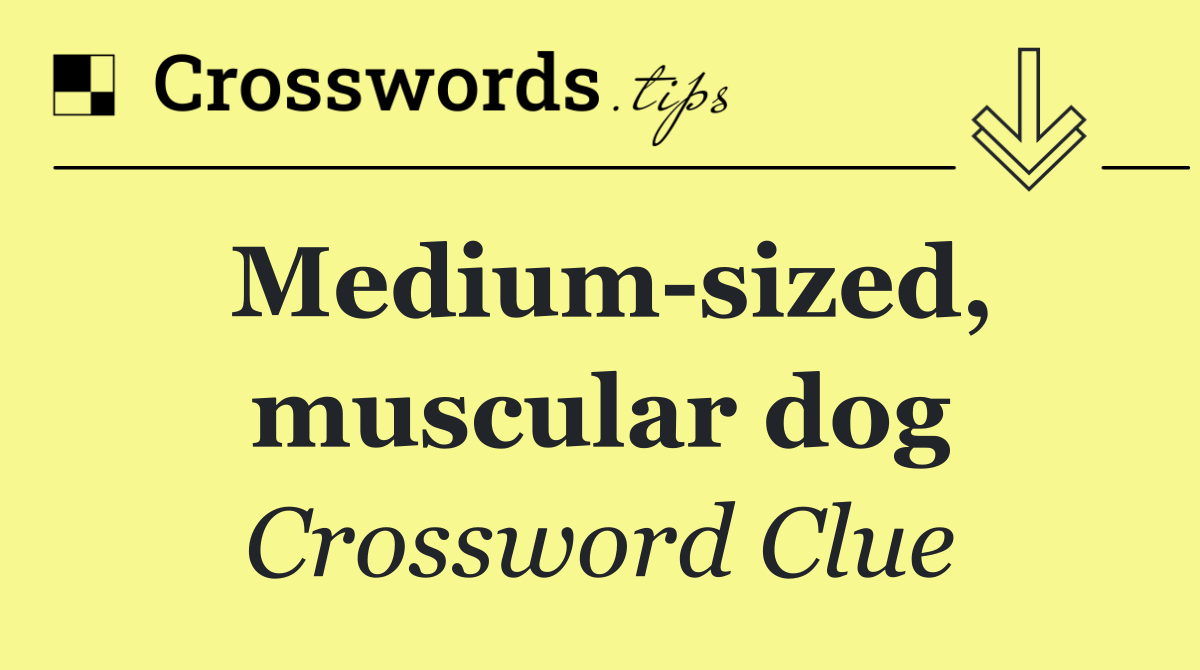 Medium sized, muscular dog