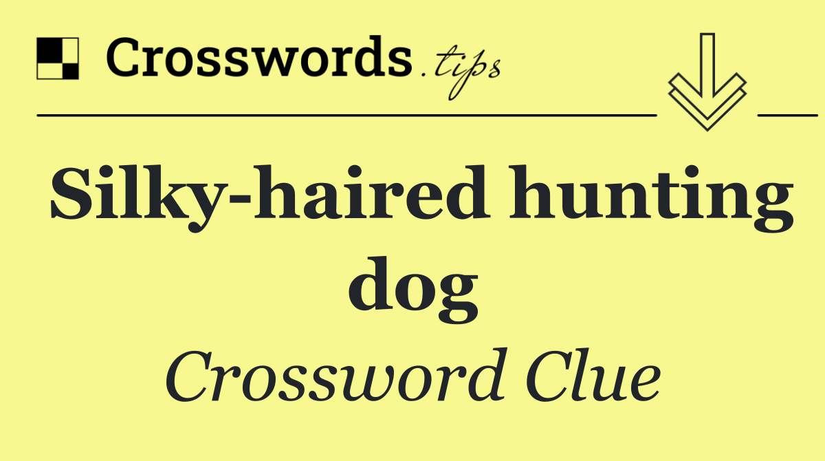 Silky haired hunting dog