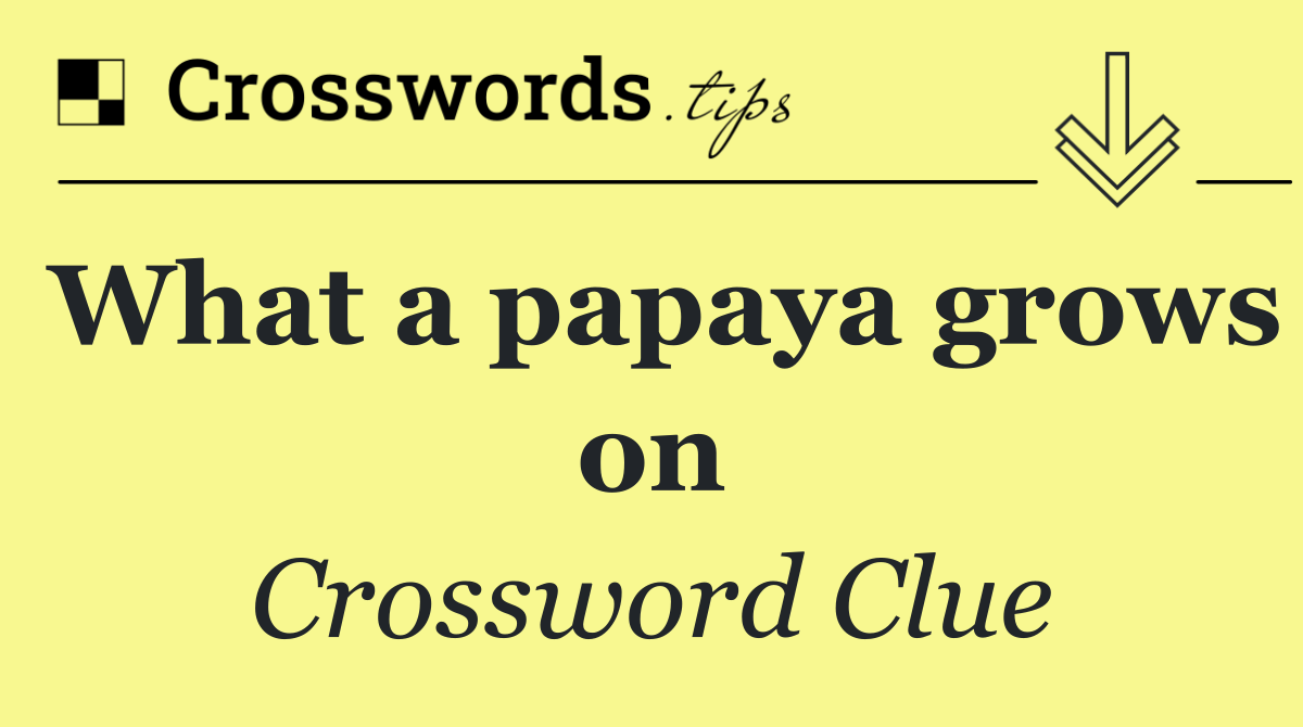 What a papaya grows on